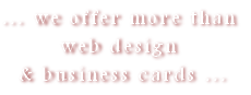  Business design services
